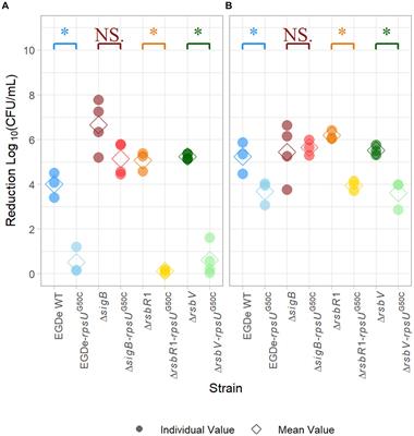A single point mutation in the Listeria monocytogenes ribosomal gene rpsU enables SigB activation independently of the stressosome and the anti-sigma factor antagonist RsbV